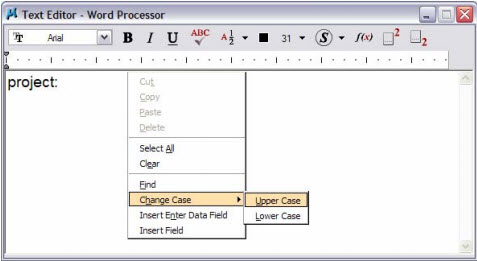 where to find change case in word 2013